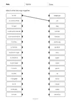 Aperçu - Cartes d'exercices - Pets / Animaux de compagnie: Draw the lines 3 (Fiche d'exercices d'anglais) - Page 2