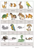 Aperçu - Jeux - Pets / Animaux de compagnie: Drawing Game (Jeu pour le cours d'anglais) - Page 2
