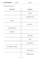 Aperçu - Tests - Arctic & Antarctic / Arctique et Antarctique: Vocabulary Mini Test (Test pour le cours d'anglais) - Page 3