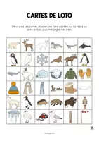 Aperçu - Jeux - Arctic & Antarctic / Arctique et Antarctique: Education Lotto (Jeu pour le cours d'anglais) - Page 2