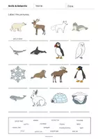 Aperçu - Fiches - Arctic & Antarctic / Arctique et Antarctique: Vocabulary Worksheet 1 (Fiche d'exercices d'anglais) - Page 3