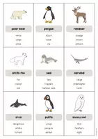Aperçu - Jeux - Arctic & Antarctic / Arctique et Antarctique: Don’t say it! (Jeu pour le cours d'anglais) - Page 2