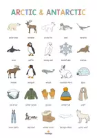 Aperçu - Affichage - Arctic & Antarctic / Arctique et Antarctique: Vocabulary Poster (Affiche pour le cours d'anglais) - Page 3