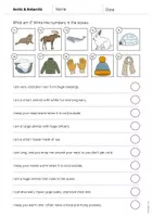 Aperçu - Cartes d'exercices - Arctic & Antarctic / Arctique et Antarctique: What am I? - Worksheet (Fiche d'exercices d'anglais) - Page 3
