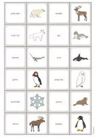 Aperçu - Jeux - Arctic & Antarctic / Arctique et Antarctique: Memo Game (Jeu pour le cours d'anglais) - Page 2
