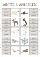 Aperçu - Cartes / Images - Arctic & Antarctic / Arctique et Antarctique: Clip Cards (Cartes à pince pour le cours d'anglais) - Page 2