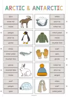 Aperçu - Cartes / Images - Arctic & Antarctic / Arctique et Antarctique: Clip Cards (Cartes à pince pour le cours d'anglais) - Page 3