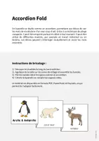 Aperçu - Fiches - Arctic & Antarctic / Arctique et Antarctique: Accordion Fold (Jeu pour le cours d'anglais) - Page 1