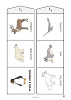 Aperçu - Fiches - Arctic & Antarctic / Arctique et Antarctique: Accordion Fold (Jeu pour le cours d'anglais) - Page 3