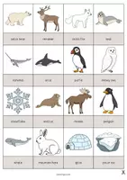 Aperçu - Jeux - Arctic & Antarctic / Arctique et Antarctique: Drawing Game (Jeu pour le cours d'anglais) - Page 2