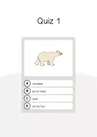 Aperçu - Jeux - Arctic & Antarctic / Arctique et Antarctique: Vocabulary Quiz (Jeu de questions pour le cours d'anglais) - Page 3