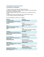 Vorschau - Arbeitsblätter - Bau der Nervenzelle (Neuron) - Tandembogen - Seite 2