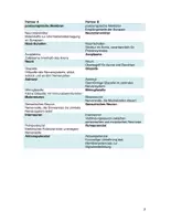 Vorschau - Arbeitsblätter - Bau der Nervenzelle (Neuron) - Tandembogen - Seite 3