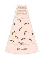 Vorschau - Bildkarten - Unsere Wiesentiere - ein Legekreis mit 12 Wiesentieren - Seite 3