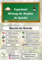 Vorschau - Arbeitsblätter - Experiment Wirkung der Amylase im Speichel - Deckblatt