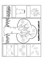anteprima - Materiale di supporto/inclusione - Le parti della pianta. Il lapbook per botanici in erba - Pagina 2