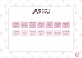 Vista previa - Tarjetas / Manipulativos - CALENDARIO DEL VERANO - página 2