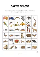 Aperçu - Jeux - AUSTRALIA: Pack XXL de ressources pour les cours d’anglais (Australie) - Page 3