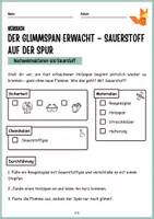 Vorschau - Arbeitsblätter - Protokoll Glimmspanprobe - Nachweisreaktionen - Experimente, Arbeitsblätter, Zusatzaufgaben - Seite 3