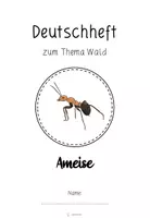 Vorschau - Stationenlernen - Fächerübergreifende Werkstatt: Deutsch & Thema Wald - Seite 2