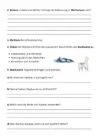 Vorschau - Stundenentwürfe - Das Alpaka - Sachtexte lesen und verstehen - Seite 3