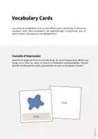 Aperçu - Fiches - Colours / Couleurs: Vocabulary Cards (Cartes de mots) - Page 1