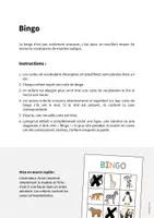 Aperçu - Jeux - BINGO: Pack XXL de ressources pour les cours d’anglais - Page 2