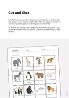 Aperçu - Matériel pour travaux manuels / dessin - CUT & GLUE: Pack XXL de ressources pour les cours d’anglais - Page 2