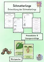 Vorschau - Arbeitsblätter - 4. Sequenz - Lebenszyklus & Entwicklung - Raupe zum Schmetterling - Deckblatt