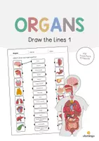 Aperçu - Jeux - ORGANS: Pack XXL de ressources pour les cours d’anglais (Organes) - Page 1