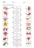 Aperçu - Jeux - ORGANS: Pack XXL de ressources pour les cours d’anglais (Organes) - Page 3