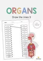 Aperçu - Cartes d'exercices - Organs / Organes: Draw the lines 3 (Fiche d'exercices d'anglais) - Page de couverture
