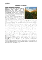 Vorschau - Arbeitsblätter - Arbeitsblatt: Ethanol als Kraftstoff? (bearbeitbar) - Seite 3