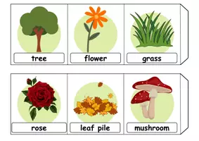 Vorschau - Arbeitsblätter - Leporello - Plants - Englisch - Seite 1