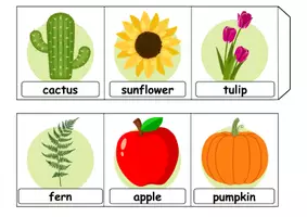 Vorschau - Arbeitsblätter - Leporello - Plants - Englisch - Seite 2