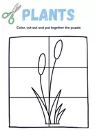 Vorschau - Mal- und Bastelvorlagen - Cut & Glue: Plants - Englisch - Seite 1