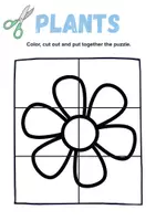Vorschau - Mal- und Bastelvorlagen - Cut & Glue: Plants - Englisch - Seite 2