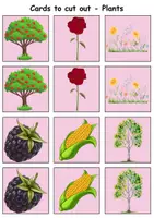 Vorschau - Spiele - Remember it! / Matching Pairs: Plants (Image-Image) - Englisch - Seite 3