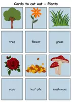 Vorschau - Spiele - Remember it! / Matching Pairs: Plants (Image-Word) - Englisch - Seite 1