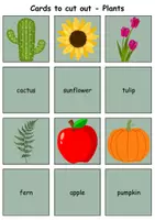 Vorschau - Spiele - Remember it! / Matching Pairs: Plants (Image-Word) - Englisch - Seite 2