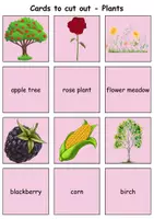 Vorschau - Spiele - Remember it! / Matching Pairs: Plants (Image-Word) - Englisch - Seite 3