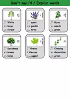 Vorschau - Spiele - Don't say it!: Plants - Englisch Spiel - Seite 3