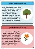 Vorschau - Unterrichtsreihen - Copy card index / Abschreibkarten: Plants - Englisch - Seite 1
