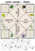 Vorschau - Spiele - Plants: Himmel und Hölle / Cootie Catcher - Englisch - Seite 3