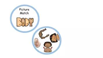 Vorschau - Spiele - Body Parts Picture Match - Seite 2