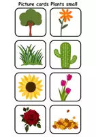 Vorschau - Mal- und Bastelvorlagen - Mini Picture-word cards: Plants - Englische Mini Bildkarten & Lesekarten - Seite 2