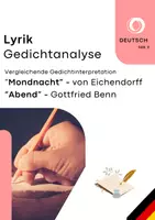 Vorschau - Test - Materialpaket: Vergleichende Gedichtinterpretation - Seite 1