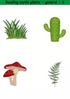 Vorschau - Spiele - Lesekarten/Bildkarten - Plants (Easy) - Englisch - Seite 2