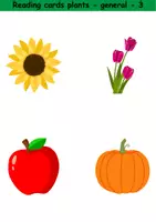 Vorschau - Spiele - Lesekarten/Bildkarten - Plants (Easy) - Englisch - Seite 3