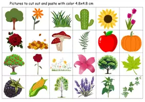 Vorschau - Mal- und Bastelvorlagen - Vokabelbilder Plants - Bildkarten Englisch - Seite 1